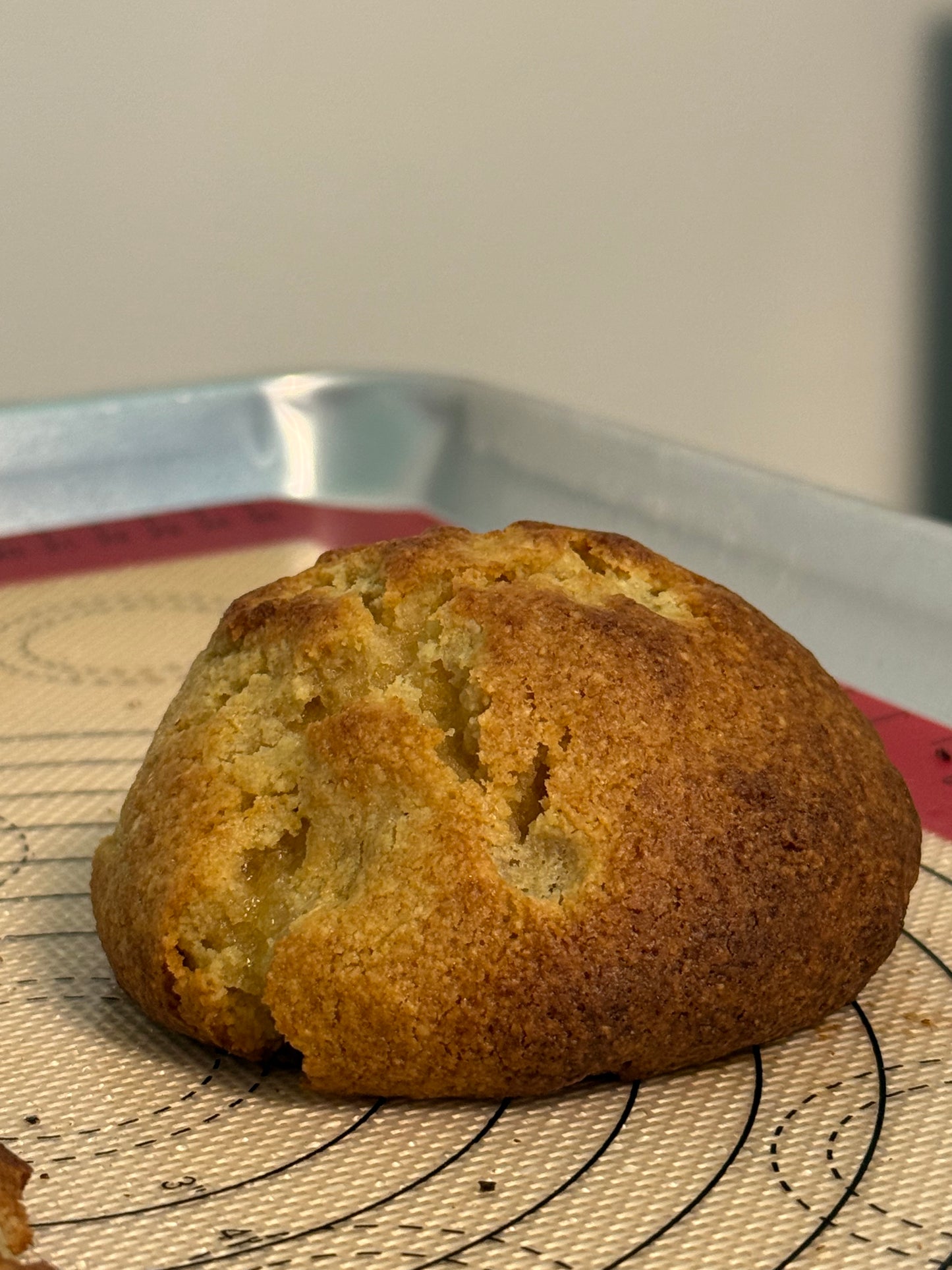Healthy Vainilla